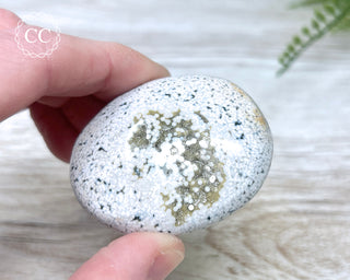 Ocean Jasper Chunky Palm Stone #11