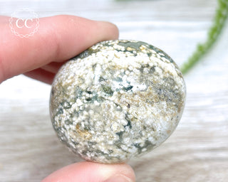 Ocean Jasper Chunky Palm Stone #2