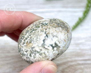 Ocean Jasper Chunky Palm Stone #2