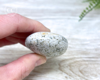 Ocean Jasper Chunky Palm Stone #11