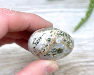 Ocean Jasper Chunky Palm Stone #2