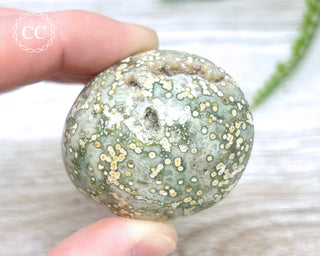 Ocean Jasper Chunky Palm Stone #3