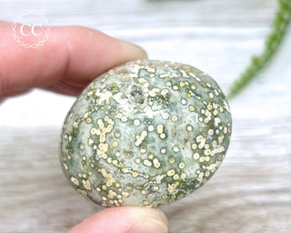 Ocean Jasper Chunky Palm Stone #3