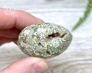 Ocean Jasper Chunky Palm Stone #3