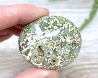 Ocean Jasper Chunky Palm Stone #3