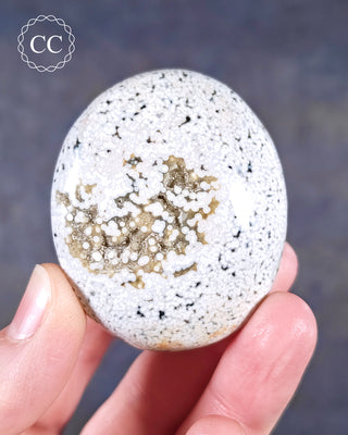 A hand holding an Ocean Jasper palmstone from Madagascar