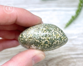 Ocean Jasper Chunky Palm Stone #3