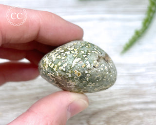 Ocean Jasper Chunky Palm Stone #3
