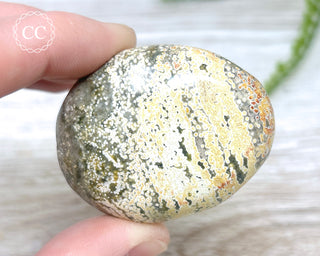 Ocean Jasper Chunky Palm Stone #6
