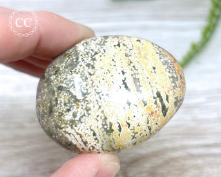 Ocean Jasper Chunky Palm Stone #6