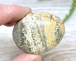 Ocean Jasper Chunky Palm Stone #6