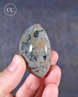 Ocean Jasper Chunky Palm Stone #1