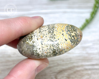 Ocean Jasper Chunky Palm Stone #6