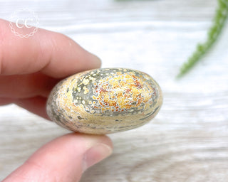 Ocean Jasper Chunky Palm Stone #6
