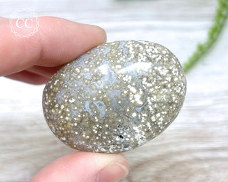 Ocean Jasper Chunky Palm Stone #7