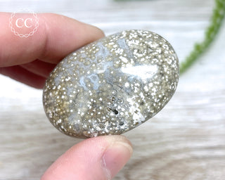 Ocean Jasper Chunky Palm Stone #7