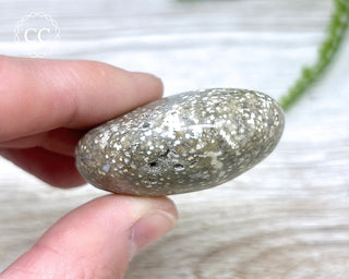Ocean Jasper Chunky Palm Stone #7