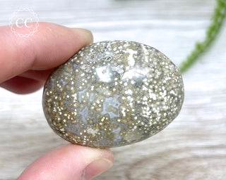 Ocean Jasper Chunky Palm Stone #7