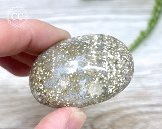 Ocean Jasper Chunky Palm Stone #7