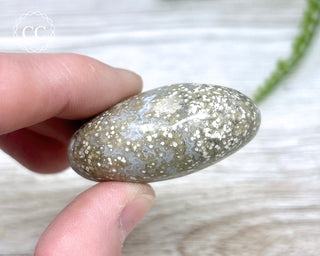 Ocean Jasper Chunky Palm Stone #7