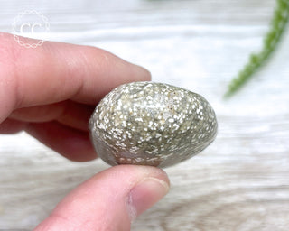 Ocean Jasper Chunky Palm Stone #7