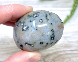Ocean Jasper Chunky Palm Stone #1