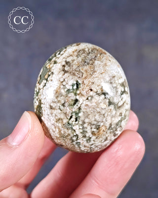 A hand holding an Ocean Jasper palmstone from Madagascar