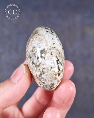 Ocean Jasper Chunky Palm Stone #2