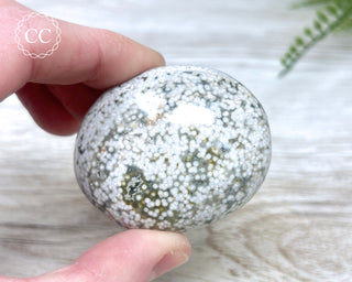 Ocean Jasper Chunky Palm Stone #11