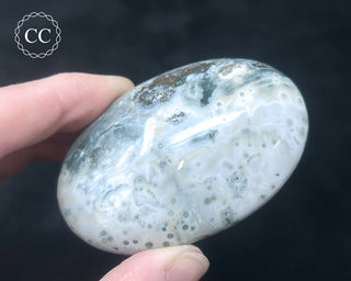 Ocean Jasper Chunky Palm Stone #9