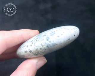 Ocean Jasper Chunky Palm Stone #9