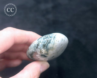 Ocean Jasper Chunky Palm Stone #9