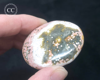 Ocean Jasper Chunky Palm Stone #19