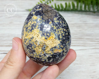 Ocean Jasper Egg #5