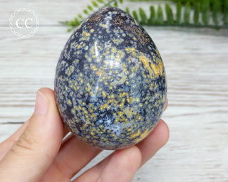 Ocean Jasper Egg #5