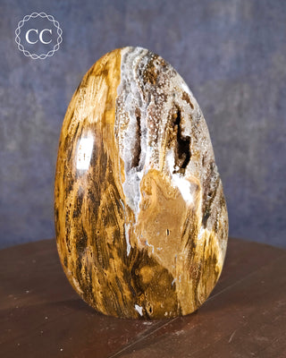 Ocean Jasper Freeform #1