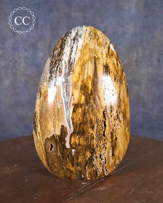 Ocean Jasper Freeform #1