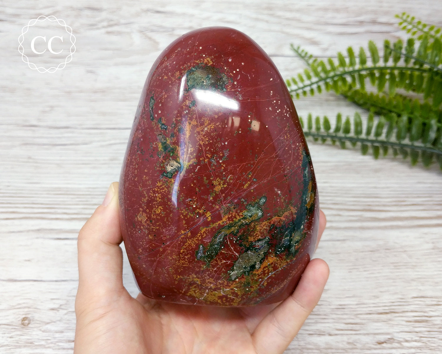 Ocean Jasper Freeform #4 – The Citrine Circle - Main Image