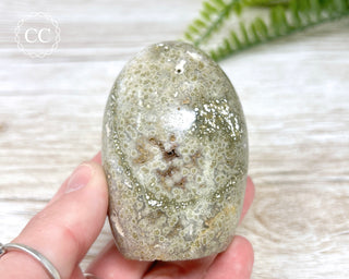 Ocean Jasper Freeform #10