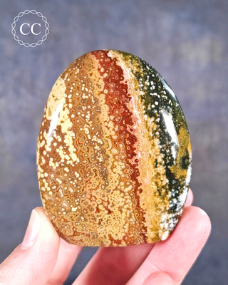 A hand holding an Ocean Jasper Freeform from Madagascar