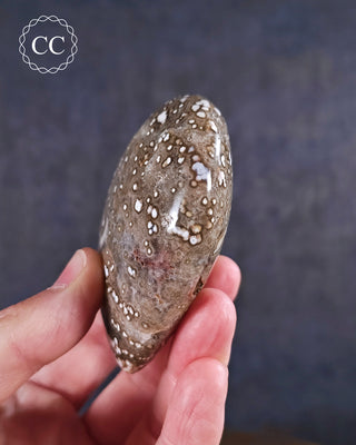 Ocean Jasper Heart #6