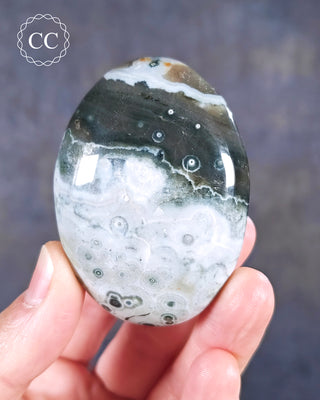 A hand holding an Ocean Jasper Palmstone from Madagascar