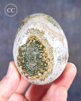 A hand holding an Ocean Jasper Palmstone from Madagascar