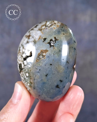Ocean Jasper Chunky Palm Stone #8