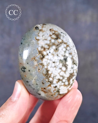 A hand holding an Ocean Jasper Palmstone from Madagascar