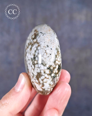 Ocean Jasper Chunky Palm Stone #8