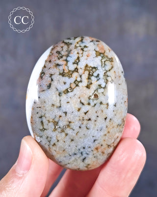 Ocean Jasper Chunky Palm Stone #9