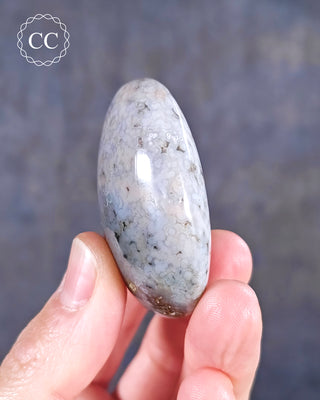Ocean Jasper Chunky Palm Stone #4