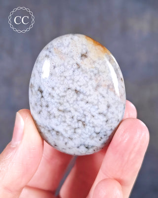 A hand holding an Ocean Jasper Palmstone from Madagascar