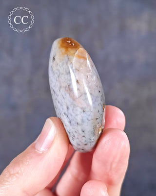 Ocean Jasper Chunky Palm Stone #4